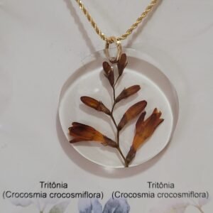 Colar Flor Tritônia Natural da Serra – Semijoia Banhada a Ouro SM012