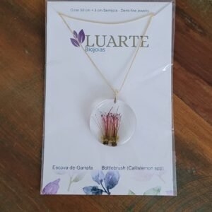 Colar Botânico Escova-de-Garrafa – Semijoia Banhada a Ouro
